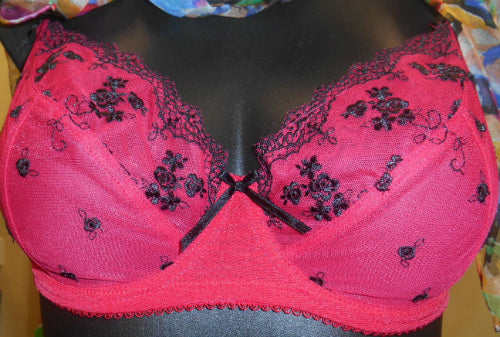 Embroidered Fuller Figure Soft Cup Bra - Studio Europe